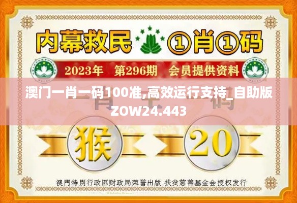 澳门一肖一码100准,高效运行支持_自助版ZOW24.443