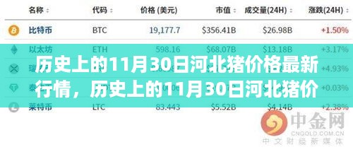 历史上的11月30日河北猪价格行情深度解析与最新评测介绍