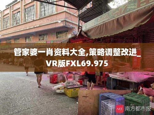 管家婆一肖资料大全,策略调整改进_VR版FXL69.975