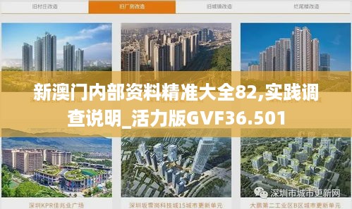 新澳门内部资料精准大全82,实践调查说明_活力版GVF36.501