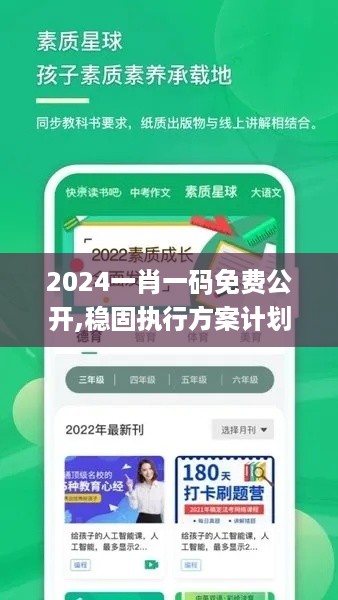 2024一肖一码免费公开,稳固执行方案计划_随身版XPU90.692