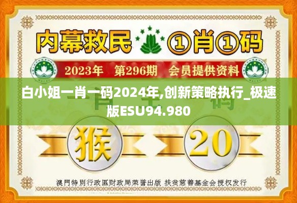 白小姐一肖一码2024年,创新策略执行_极速版ESU94.980