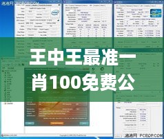 王中王最准一肖100免费公开,科学分析解释说明_万能版XOO53.318