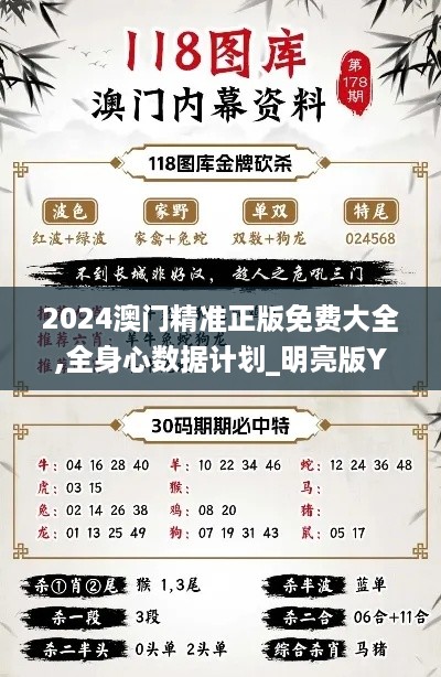 2024澳门精准正版免费大全,全身心数据计划_明亮版YBC44.228