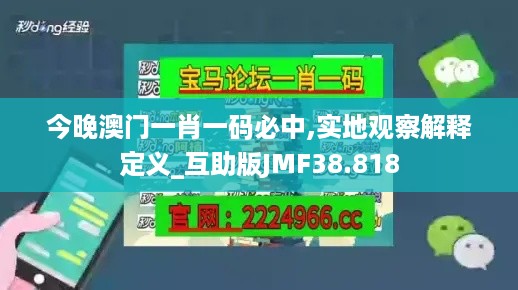 今晚澳门一肖一码必中,实地观察解释定义_互助版JMF38.818