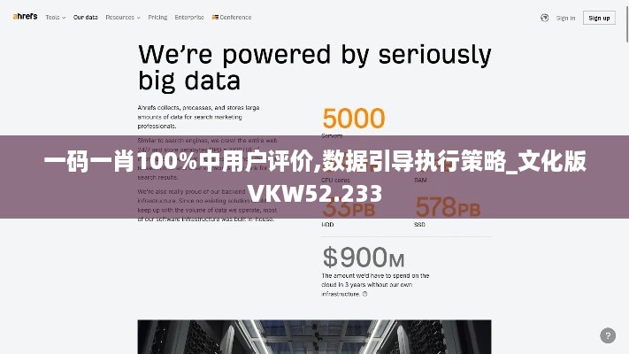 一码一肖100%中用户评价,数据引导执行策略_文化版VKW52.233