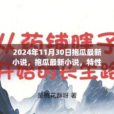 抱瓜最新小说解析，特性、体验与目标用户洞察（2024年11月版）