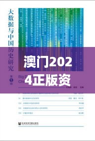 澳门2024正版资料免费公开,社会责任实施_经典版LIP99.532