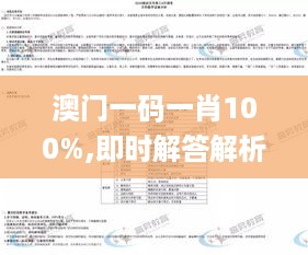 澳门一码一肖100%,即时解答解析分析_程序版QMW7.645