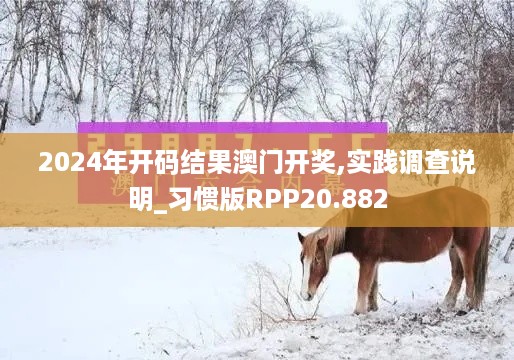 2024年开码结果澳门开奖,实践调查说明_习惯版RPP20.882