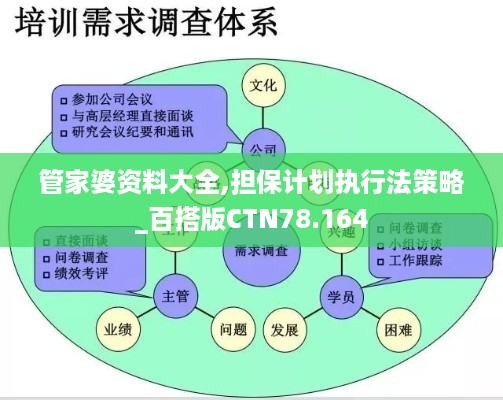 管家婆资料大全,担保计划执行法策略_百搭版CTN78.164