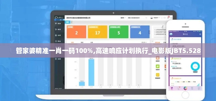 管家婆精准一肖一码100%,高速响应计划执行_电影版JBT5.528