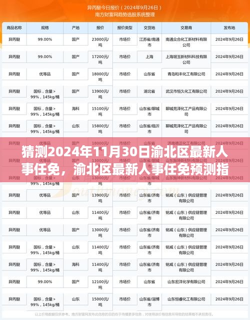 渝北区人事任免预测指南，以2024年11月30日为例的初学者与进阶用户适用