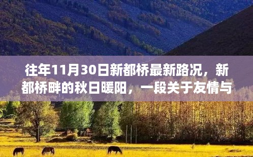 新都桥秋日暖阳下的友情与陪伴，最新路况与温馨故事