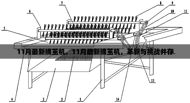 2024年12月1日 第38页