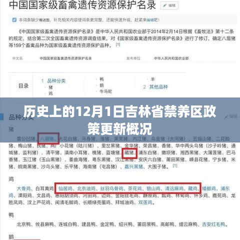 吉林省禁养区政策更新概况，历史视角的12月1日回顾