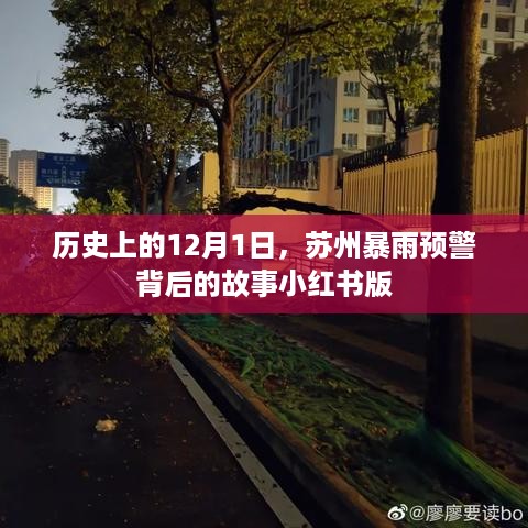 小红书揭秘，苏州暴雨预警背后的历史故事（12月1日特辑）