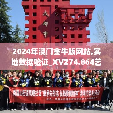 2024年澳门金牛版网站,实地数据验证_XVZ74.864艺术版