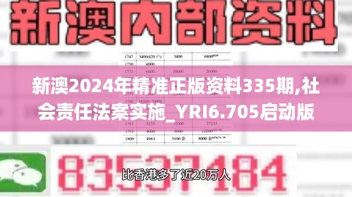 新澳2024年精准正版资料335期,社会责任法案实施_YRI6.705启动版