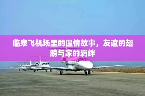 临泉飞机场的温情之旅，友谊的翅膀与家的羁绊