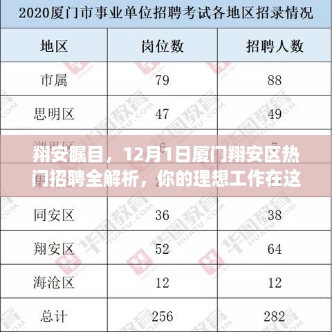 『翔安瞩目，12月1日厦门翔安区热门招聘全景解析，理想工作等你来挑战！』