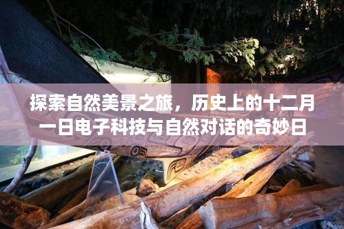 自然探索之旅，十二月一日电子科技与自然对话的奇妙日