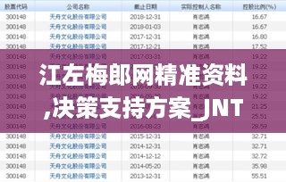 江左梅郎网精准资料,决策支持方案_JNT41.821文化版