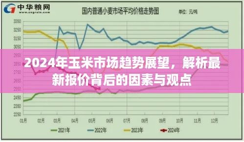 2024年玉米市场趋势展望，最新报价背后的因素与观点解析