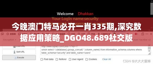 今晚澳门特马必开一肖335期,深究数据应用策略_DGO48.689社交版