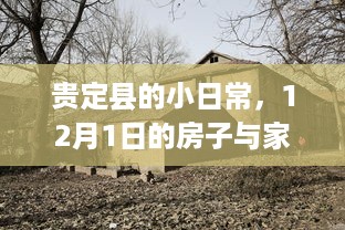 贵定县，房子与家的温馨日常——12月1日的故事