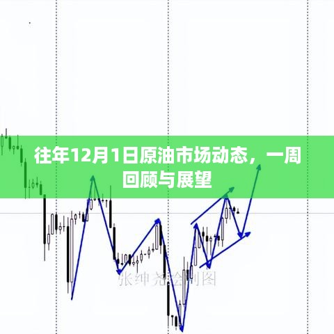 2024年12月1日 第10页