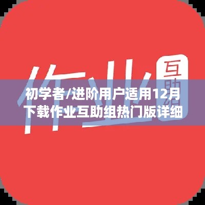 12月热门作业互助组详细步骤指南，适合初学者与进阶用户的学习宝典