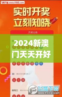 2024新澳门天天开好彩大全正版336期,数据详解说明_DTY61.275Phablet