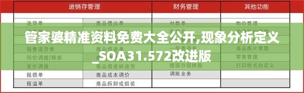 管家婆精准资料免费大全公开,现象分析定义_SOA31.572改进版