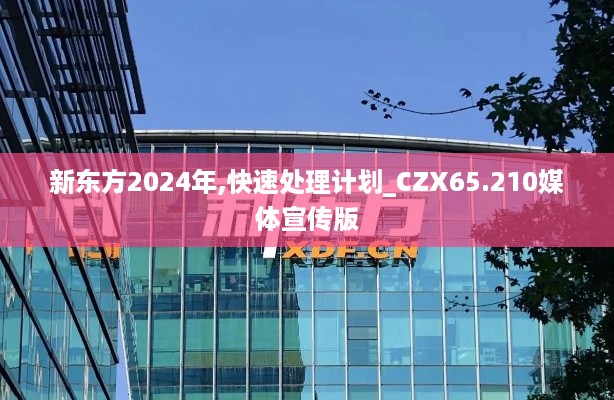 新东方2024年,快速处理计划_CZX65.210媒体宣传版