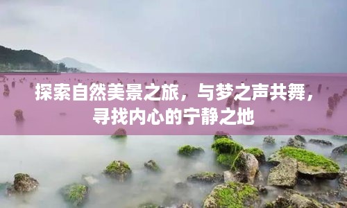 自然探索之旅，与梦之声共舞，寻找心灵的宁静之地