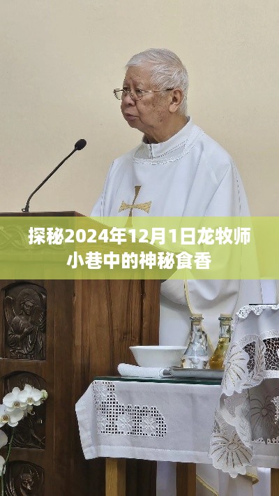 探秘龙牧师小巷的神秘食香，2024年12月1日纪实