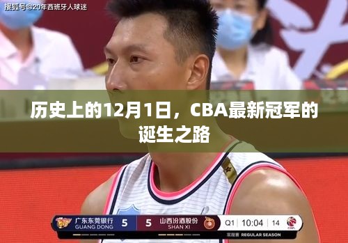 CBA最新冠军的诞生之路，历史回顾与12月1日的辉煌时刻