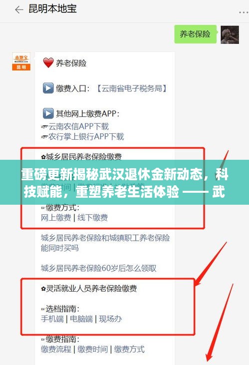 武汉智能退休金管理系统全新上线，科技赋能重塑养老生活体验重磅揭秘新动态