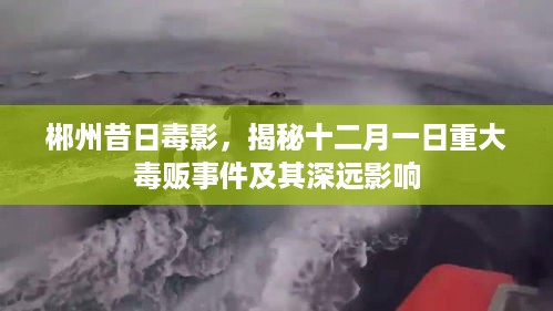 郴州昔日毒影揭秘，重大毒贩事件及其深远影响探究