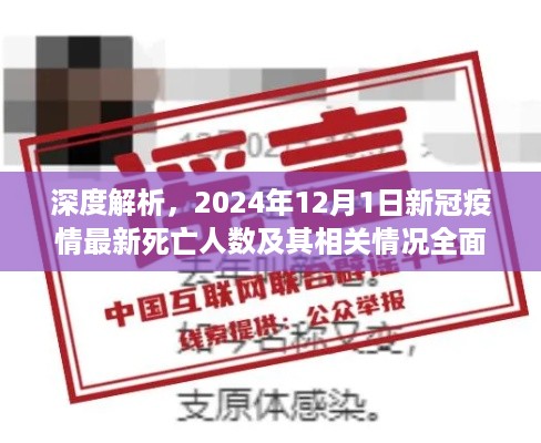 深度解析，2024年新冠疫情最新死亡人数及全面介绍相关情况