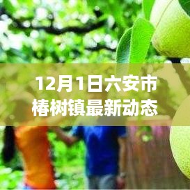 六安市椿树镇社区发展新篇章，最新动态，迎接美好未来