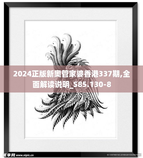 2024正版新奥管家婆香港337期,全面解读说明_S85.130-8