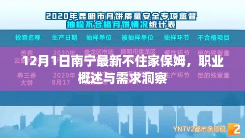 南宁不住家保姆职业概述与需求洞察，最新动态（12月1日）