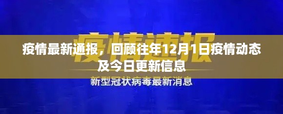 疫情最新动态通报，回顾往年与今日疫情更新信息