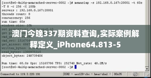 澳门今晚337期资料查询,实际案例解释定义_iPhone64.813-5