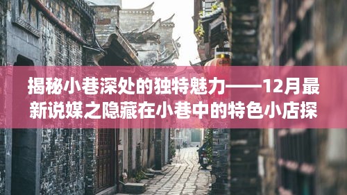 小巷深处的秘密魅力，探访隐藏特色小店的最新说媒之旅