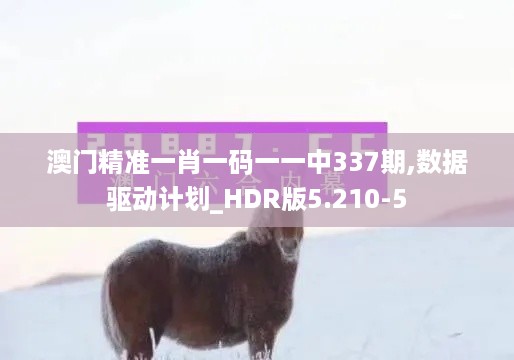 澳门精准一肖一码一一中337期,数据驱动计划_HDR版5.210-5