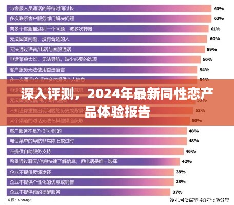 深度评测，2024年最新同性恋产品体验报告全解析