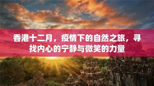 香港十二月，疫情下的自然探索之旅，寻找内心的宁静与微笑的力量